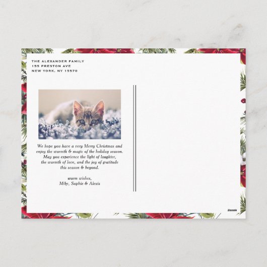 ポインセティアスとモミ葉ーズメリークリスマスフォト シーズンポストカード (裏面)