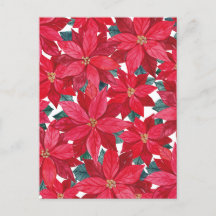 ポインセティアスウィンターシェルター