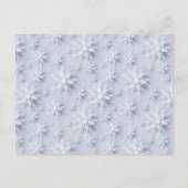 ポインセティアホリデークリスマスオープンハウス招待状 ポストカード (裏面)