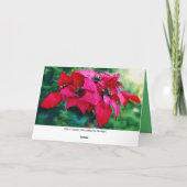 ポインセティハッピーホリデーズカスタマーカード シーズンカード (裏面)