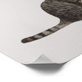 ポインタが猫を見下ろす ポスター (角)