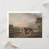 ポインタスペインのドッグ（George Stubs著） カード (正面/裏面インサイチュ)