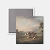 ポインタスペインのドッグ（George Stubs著） マグネット (正面/裏面)