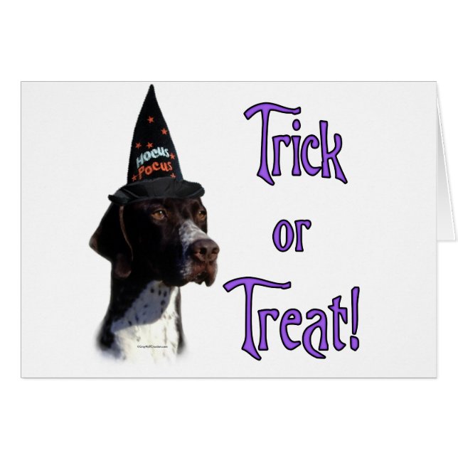 ポインタトリック (正面横)