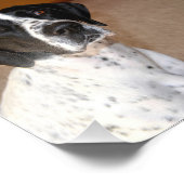 ポインタプライド フォトプリント            (角)