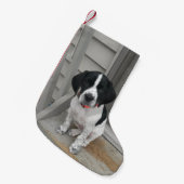 ポインター愛 スモールクリスマスストッキング (正面 (吊り時))