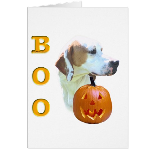 ポインター（レモンコーティング）ブー (正面)