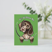 ポインター IAAM ポストカード (スタンド正面)