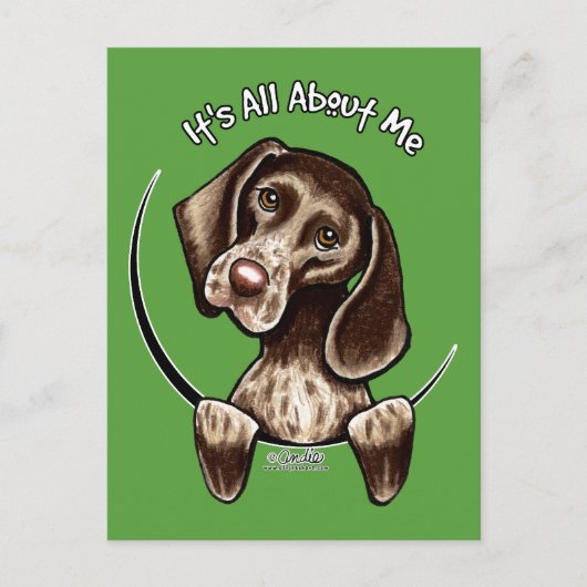 ポインター IAAM ポストカード (正面)