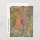 "ポインティリストの秋" ポストカード (正面/裏面)
