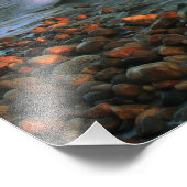 ポイントジュディスライトハウスシースケープフォトプリント フォトプリント            (角)