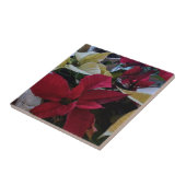 ポイントセッチアを含むタ赤と白イル タイル (側面)