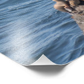 ポイントドゥーム州ビーチ フォトプリント            (角)