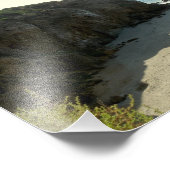 ポイントドゥーム州ビーチ フォトプリント            (角)