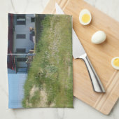 ポイントベティライトハウスキッチンタオル キッチンタオル (四つ折り)