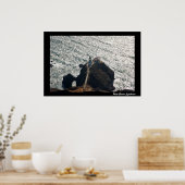 ポイントボニタライトハウス ポスター (キッチン)