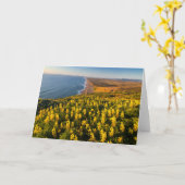 ポイントレイズナショナルシーショアカリフォルニア カード (黄色い花)