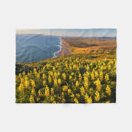 ポイントレイズナショナルシーショアカリフォルニア フリースブランケット (正面(横))