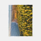 ポイントレイズナショナルシーショアカリフォルニア フリースブランケット (正面)