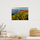 ポイントレイズナショナルシーショアカリフォルニア ポスター (キッチン)