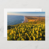 ポイントレイズナショナルシーショアカリフォルニア ポストカード (正面/裏面)