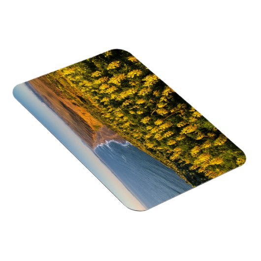 ポイントレイズナショナルシーショアカリフォルニア マグネット (右側)