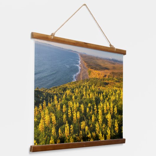 ポイントレイズナショナルシーショアカリフォルニア 吊り下げ型タペストリー (傾斜あり)