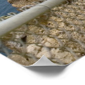 ポイントレイズライトハウス ポスター (角)