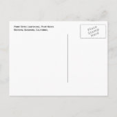 ポイントレイズライトポイントレイズナショナルシーショア ポストカード (裏面)