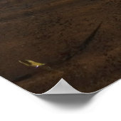 ポイントレイズ国立海岸のAbbotts Lagoon II ポスター (角)