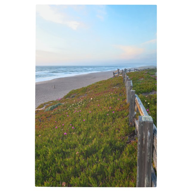 ポイントレイズ夕べ メタルプリント (正面)