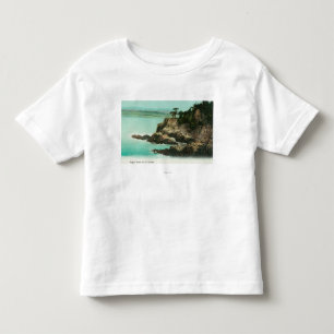 ポイントロボスのワシのドームの空中写真 トドラーTシャツ