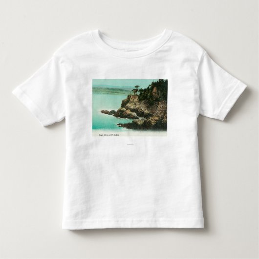 ポイントロボスのワシのドームの空中写真 トドラーTシャツ (正面)