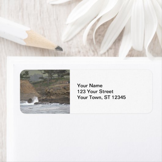 ポイントロボス ラベル (インサイチュ)