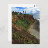 ポイントヴィセンテライトハウスパロスヴェルデポストカード ポストカード (正面/裏面)