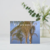 ポイントPleasant NJ Wish you were!ヤシの木 ポストカード (スタンド正面)