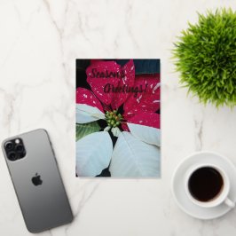 ポイン赤と白セチアフローラ 箔シーズンカード