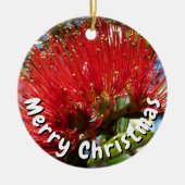 ポウタカワクリスマスキウイカード セラミックオーナメント (正面)