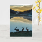 ポウダー湖の日の出に映える雄のワピチ カード (黄色い花)