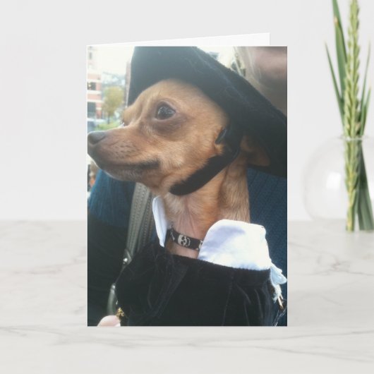 ポウチベグス恩赦の誕生日 カード (正面)