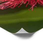 ポウツカワフラワーダネジン ポスター (角)