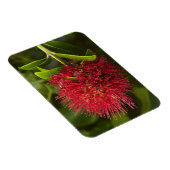 ポウツカワフラワーダネジン マグネット (右側)