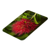 ポウツカワフラワーダネジン マグネット (左側)