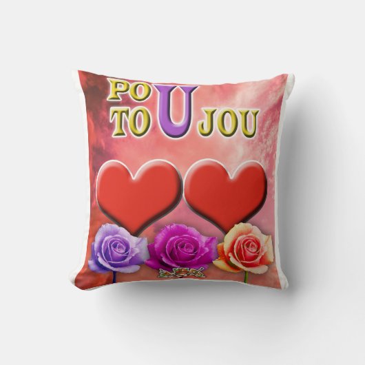 ポウ東条 クッション (正面)