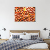 ポエステチアの粉状カビ キャンバスプリント (インサイチュ (寝室))