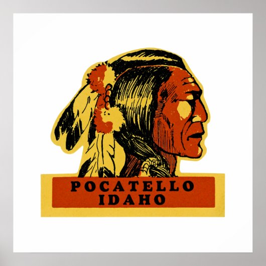 ポカテッロアイダホ ポスター (正面)