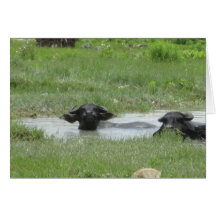 ポカ保ラクールにある