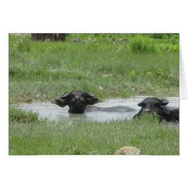 ポカ保ラクールにある