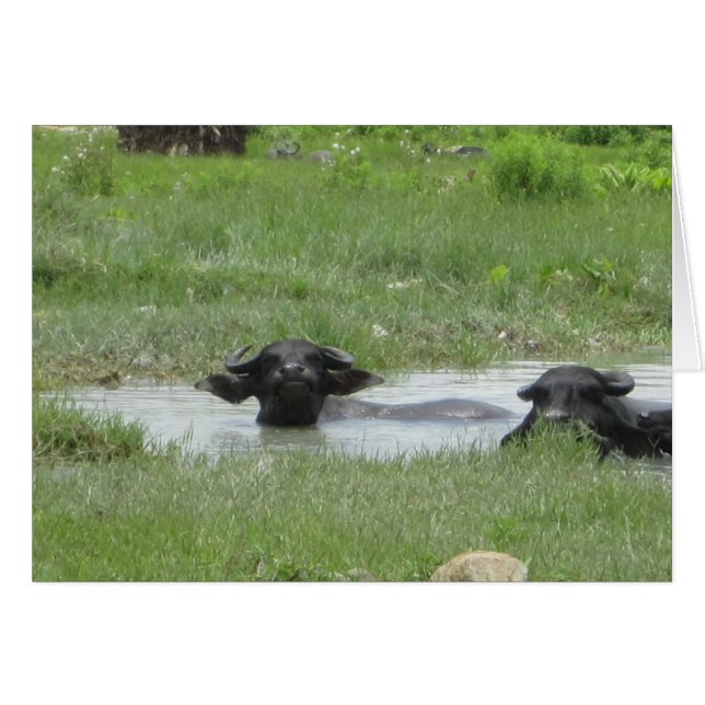 ポカ保ラクールにある (正面横)