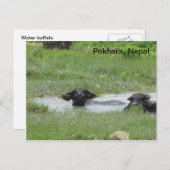 ポカ保ラクールにある ポストカード (正面/裏面)